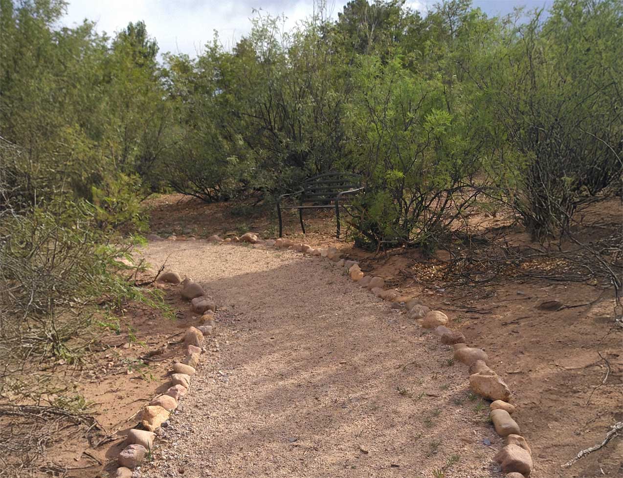 The trail to the pond.